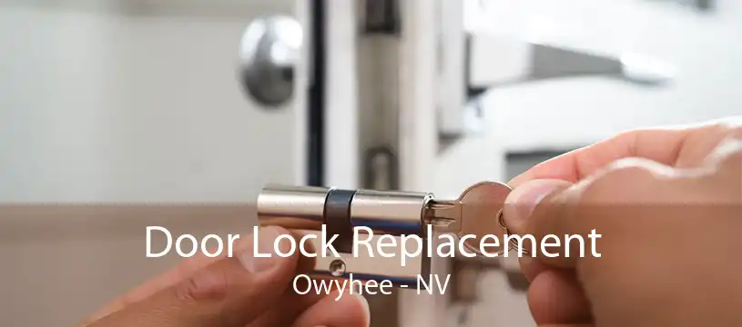 Door Lock Replacement Owyhee - NV