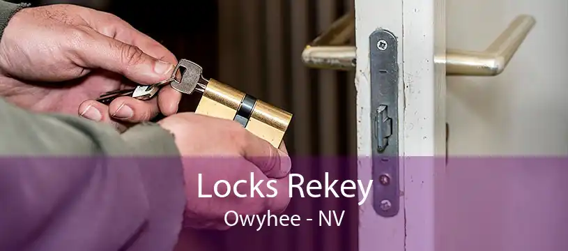 Locks Rekey Owyhee - NV